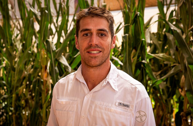Germoplasma, manejo eficiente y colaboración; las estrategias de Bayer para un maíz rentable y sostenible