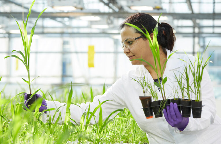 Bayer lanzará diez éxitos innovadores en 10 años