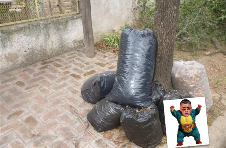 Cronograma de recolección de residuos voluminosos de junio