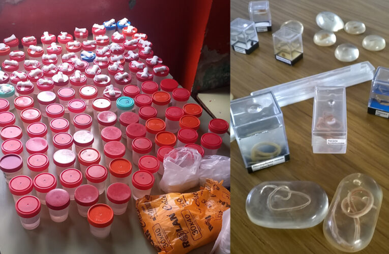 Estudian la relación entre los parásitos intestinales y los factores socioambientales