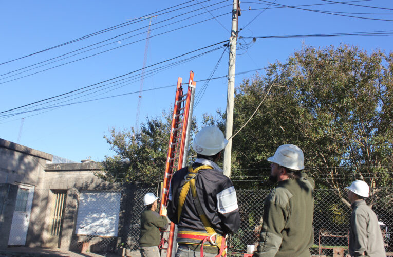 Celp: nueve décadas de historia y un 2024 marcado por el progreso y los retos superados