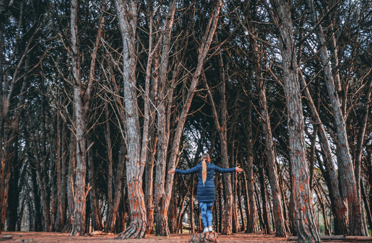  Miramar: Mucho más que sol y playas, un destino  místico y con la pizza campeona del mundo