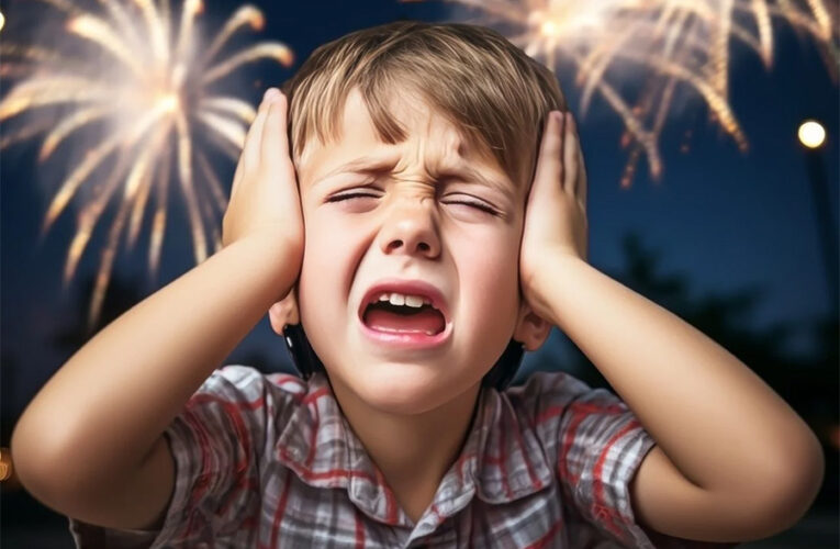 Los egoístas de siempre: Mucha pirotecnia durante los festejos navideña