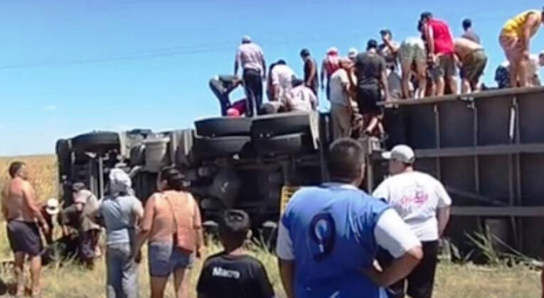 En Arrecifes y San Pedro. Saquean vacas de dos camiones jaula volcados y las faenan en el lugar