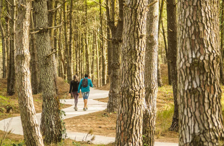 La magia existe, es costera y bonaerense