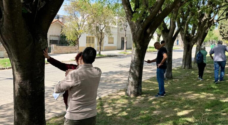 Pergamino, entre las ciudades que más árboles plantó durante el último año