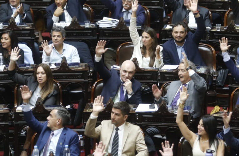 Diputados votó a favor de la suspención de las PASO