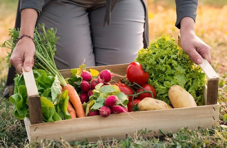 Informe CAME: Del campo a la góndola, los precios de los agroalimentos se multiplicaron por 3,8 veces en enero