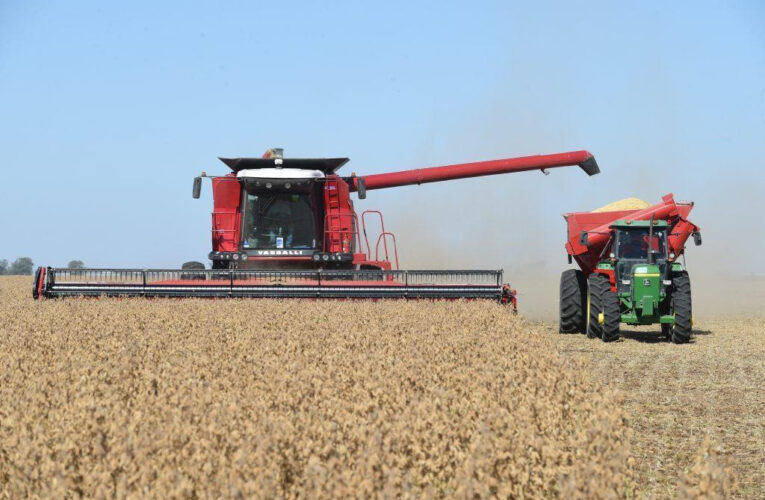 Después de la recesión: qué dejó el 2024 y qué esperar en 2025