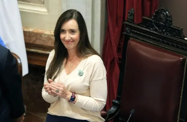 El senado confirmó la suspensión de las PASO