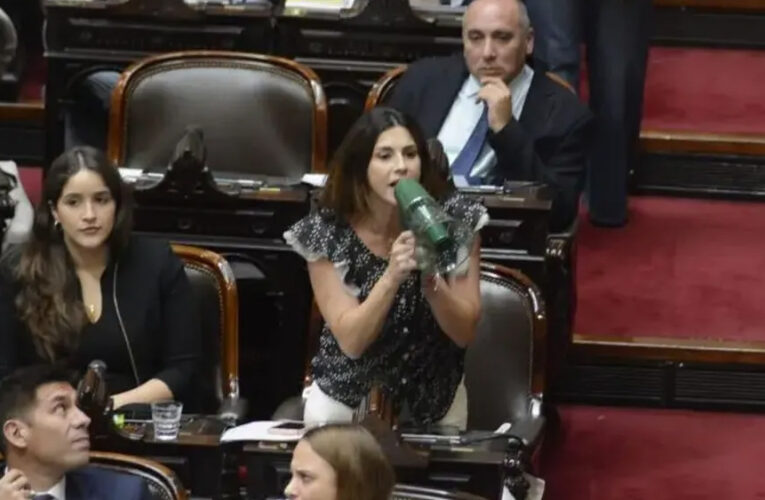 La Cámara de Diputados aprobó por mayoría el DNU que acuerda con el FMI