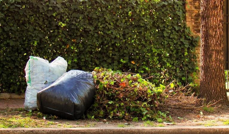 Cronograma de voluminosos para el mes de abril