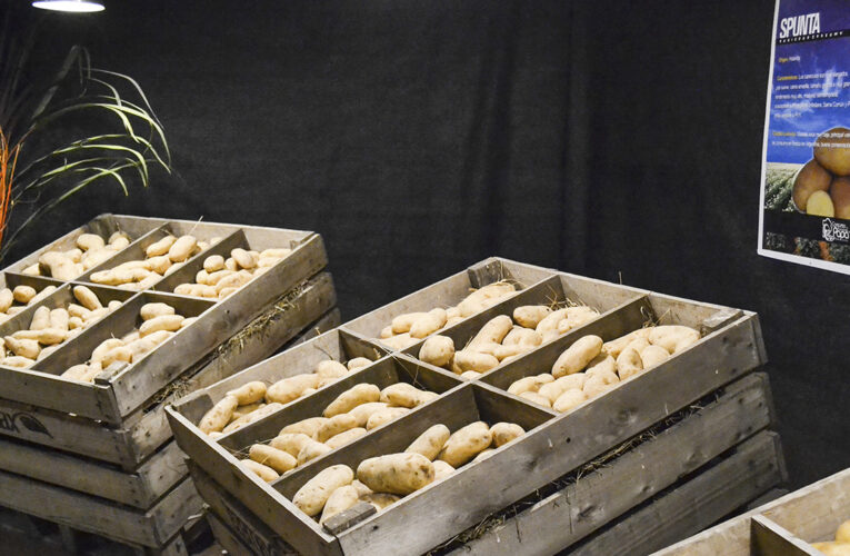 Una provincia festiva y productiva