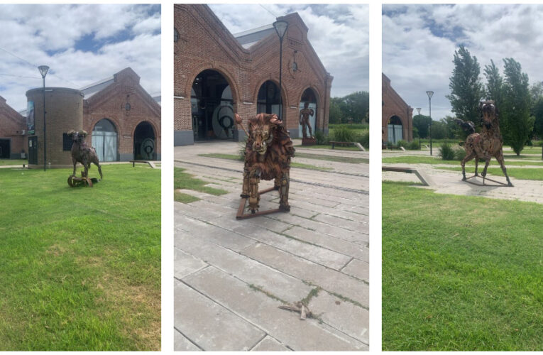 Continúa en MUMBA la exposición del artista local Julián Provenzano