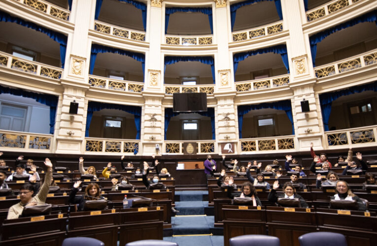 Finalmente se suspenderán las PASO en la Provincia