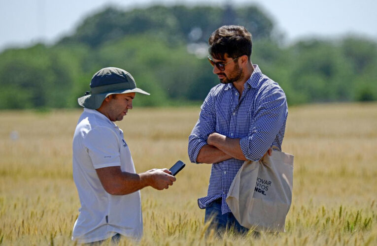 DONMARIO convoca a la 2° edición de la  Jornada de Actualización Técnica de Trigo