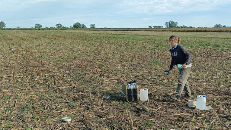 Intensificación agrícola: Cómo mejorar los suelos con más cultivos