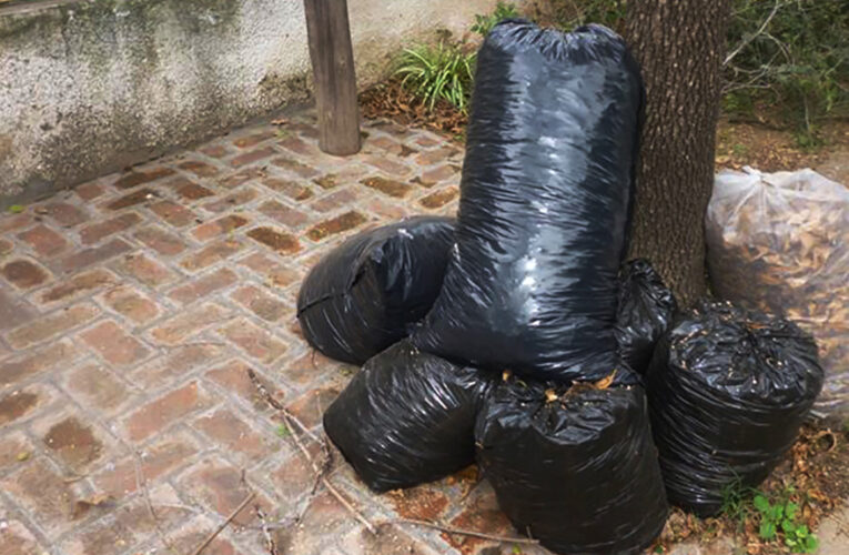 Cronograma de recolección de residuos voluminosos para el mes de junio