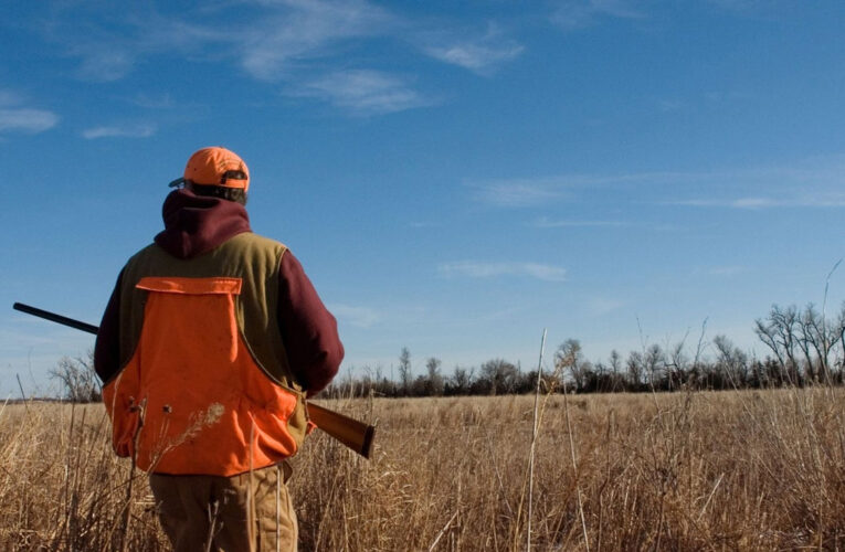 Prohibición de la caza en el Partido (si ves alguien disparando denuncialo)