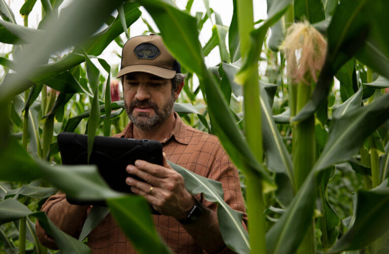 Se extiende la convocatoria de LEGADO 2025: hay tiempo para postularse hasta el 13 de junio