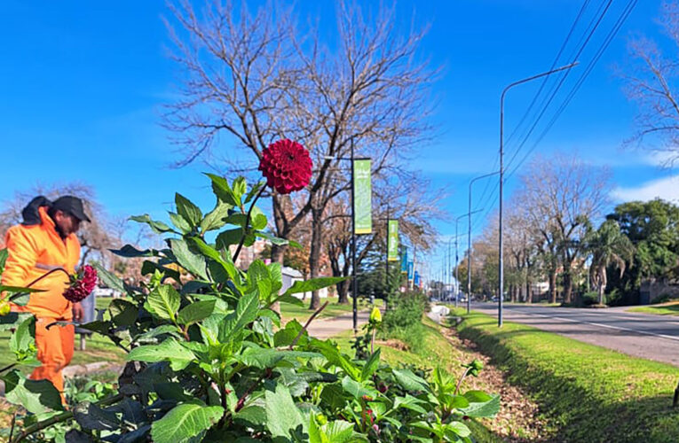 Mantenimiento y embellecimiento de espacios públicos