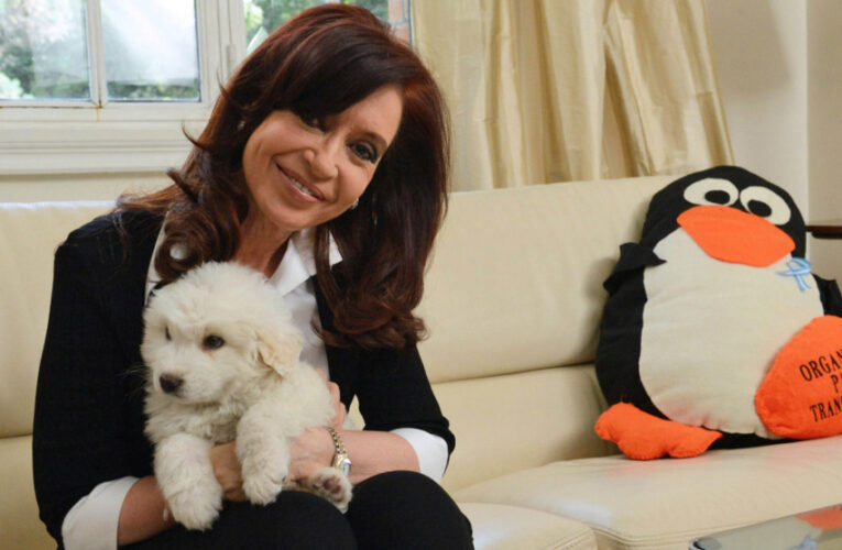 Cristina Kirchner tendrá que devolverle 84.835 millones al Estado