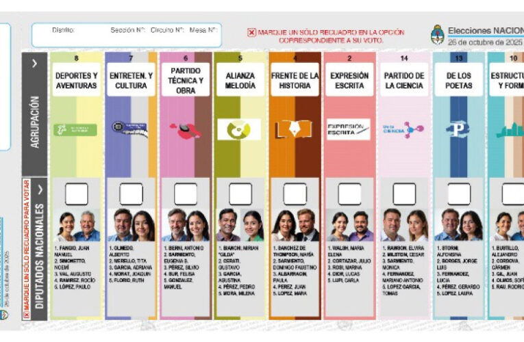 Lanzan un simulador para practicar con la Boleta Única Papel