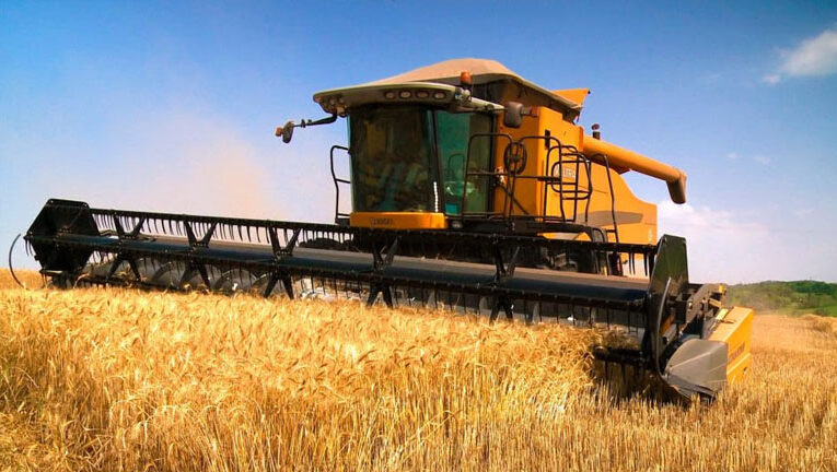 La actividad económica mostró estabilidad en septiembre