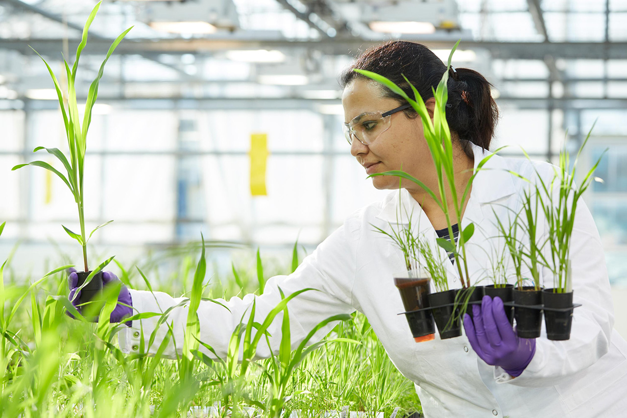 Bayer lanzará diez éxitos innovadores en 10 años