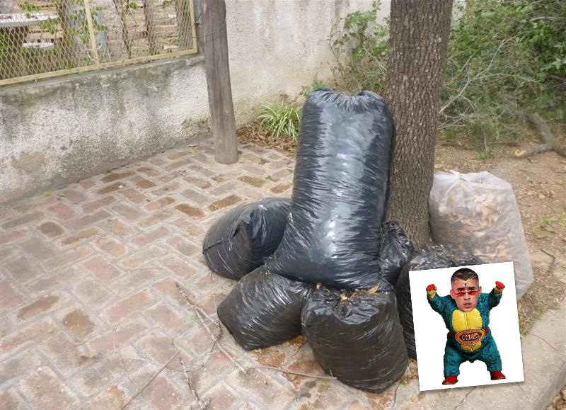 Cronograma de recolección de residuos voluminosos de junio