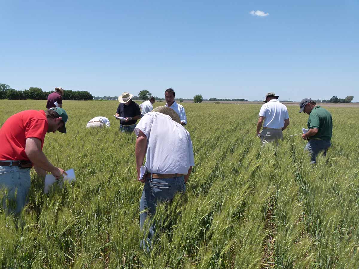 Expocereales 2024: todo lo que hay que saber desde la siembra hasta la comercialización