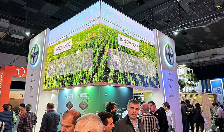 Bayer destaca en Aapresid 2024: Innovación, Digitalización y el Potencial del Maíz, en el centro de la Agricultura Regenerativa