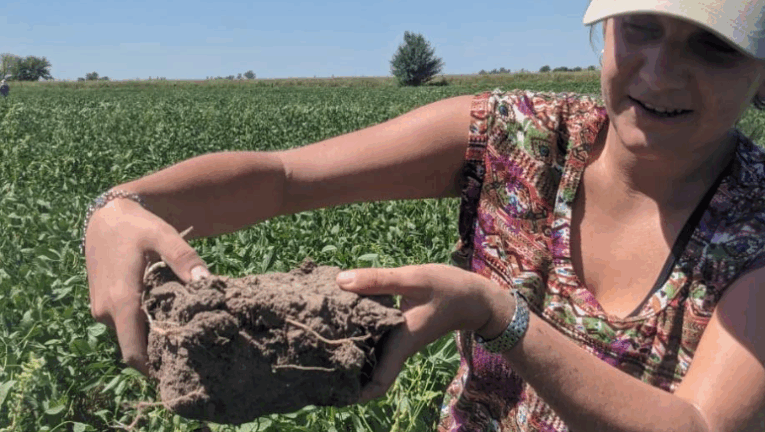 Con agroecología, mejoran la salud de los suelos