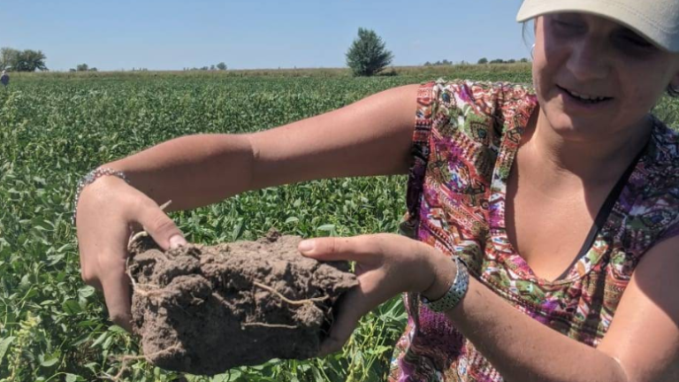 Con agroecología, mejoran la salud de los suelos