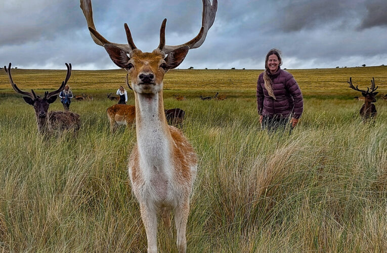 Avistaje de animales y caminatas bajo las estrellas: El hechizo de las sierras en el sudoeste bonaerense