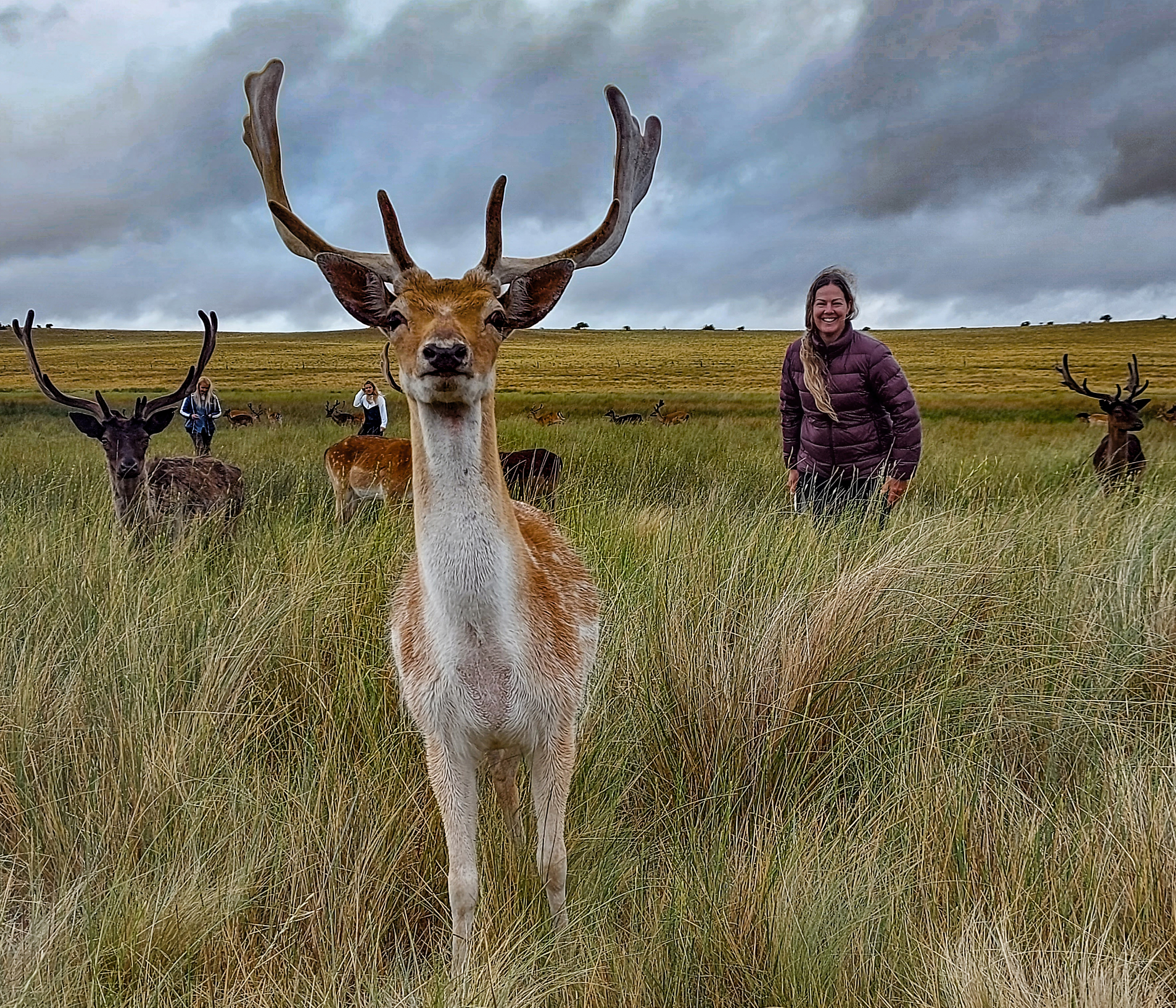 Avistaje de animales y caminatas bajo las estrellas: El hechizo de las sierras en el sudoeste bonaerense