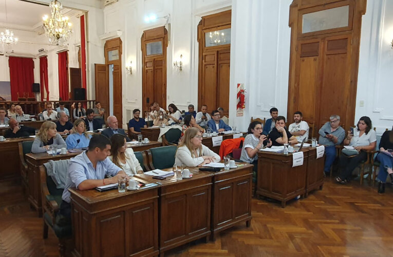 El HCD aprobó el plan de privatizaciones en el Municipio