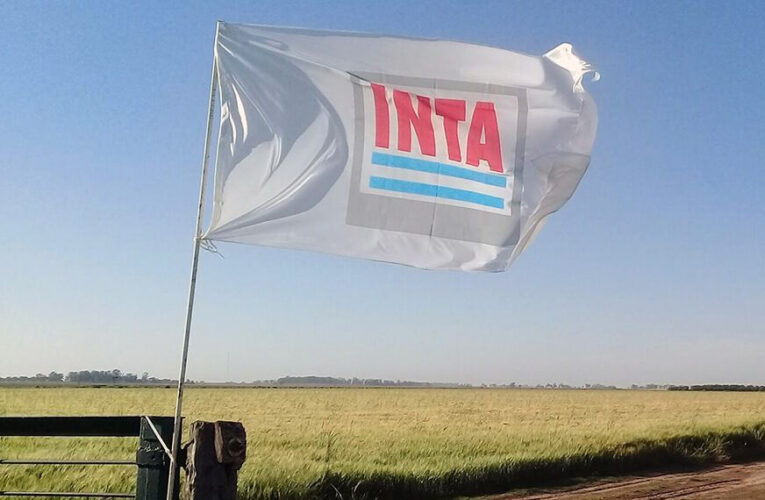 Motosierra en el INTA