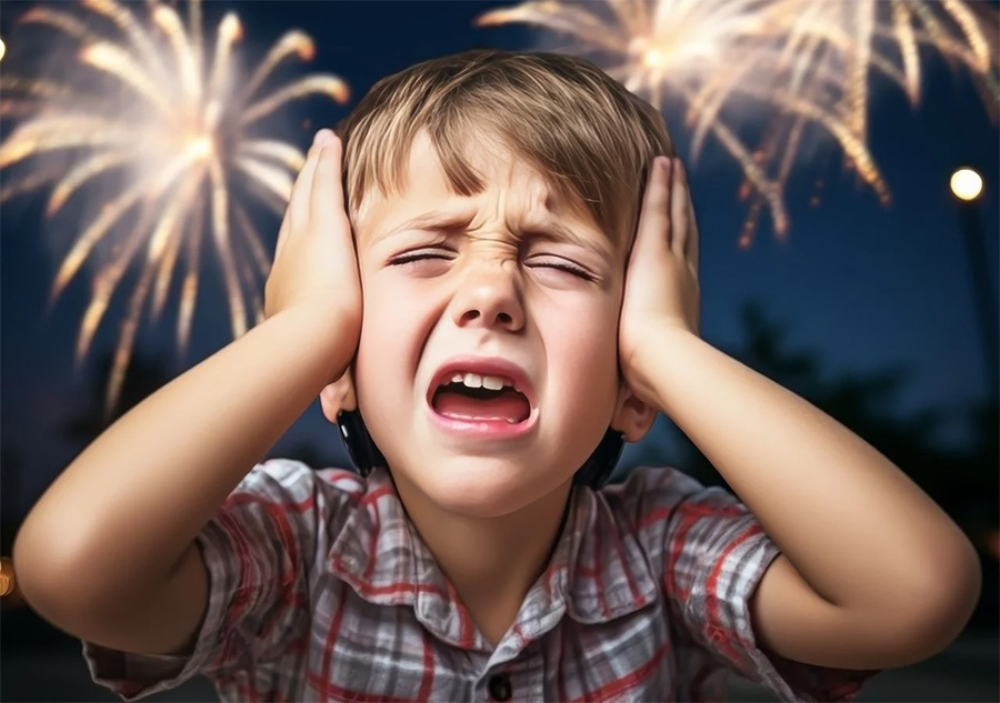 Los egoístas de siempre: Mucha pirotecnia durante los festejos navideña