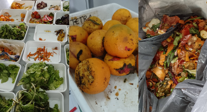 Verdulerías, un punto clave de desperdicio de alimento