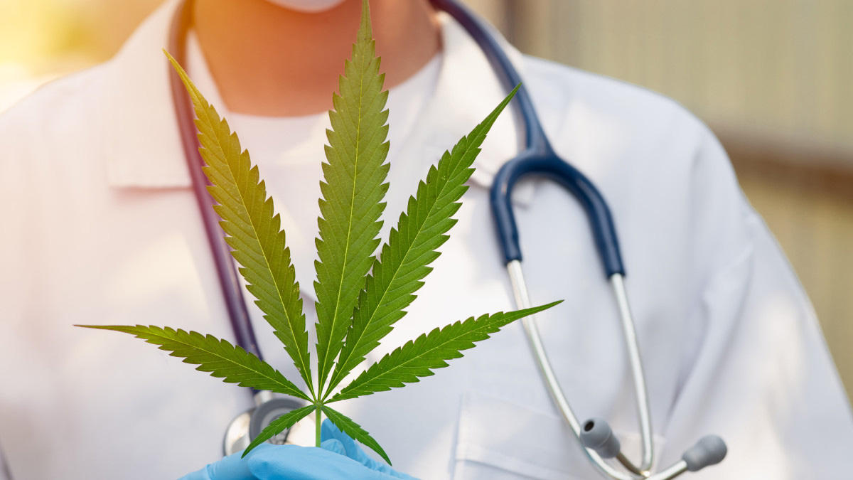 Nota en respuesta a publicaciones recientes en medios masivos sobre el uso de cannabis