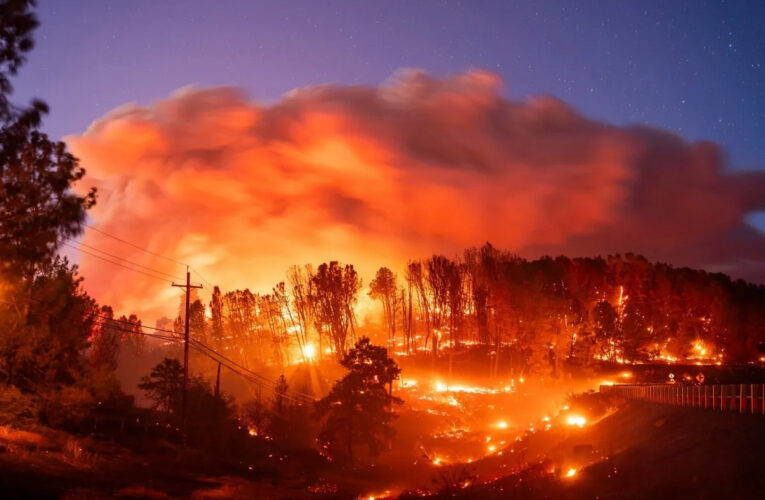 ¿Por qué afectaron tanto los incendios a California?