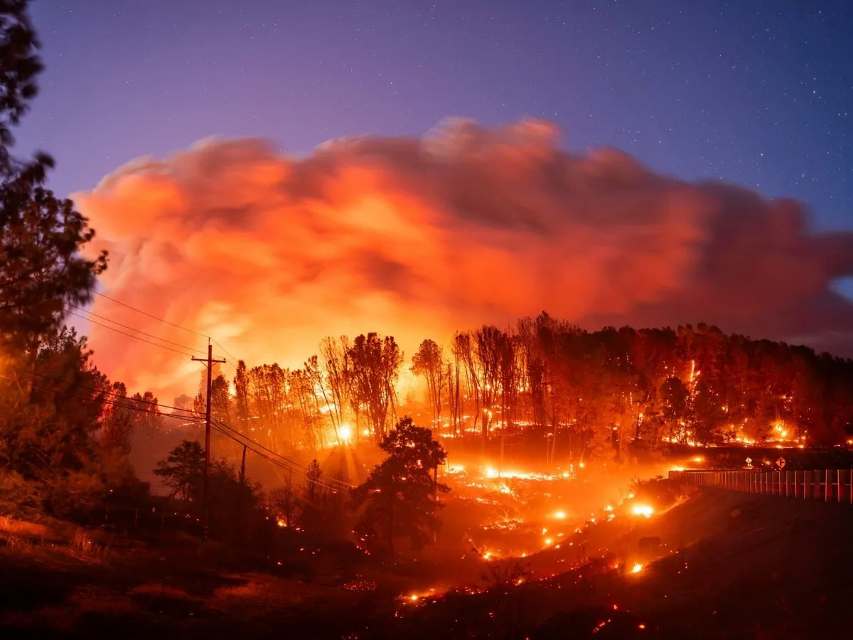 ¿Por qué afectaron tanto los incendios a California?