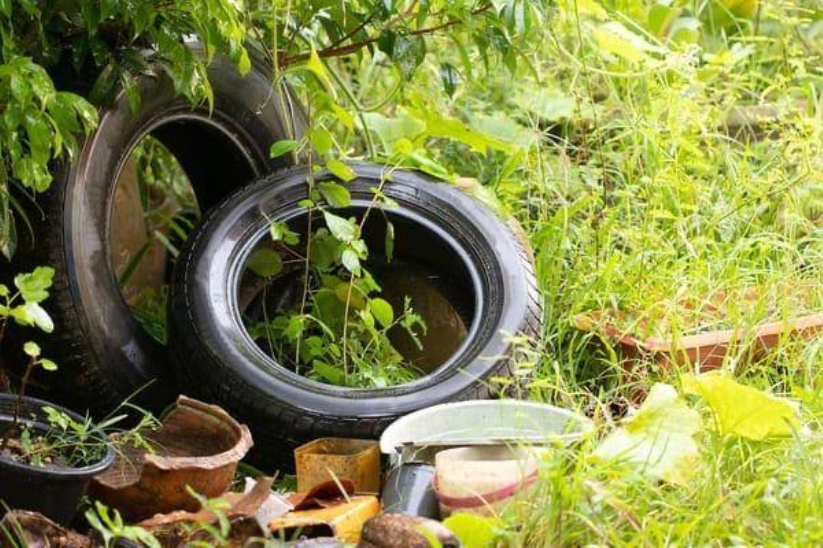 Acciones necesarias después de las lluvias en la prevención del Dengue