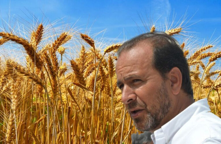 Jorge Solmi: Considerar al sector agropecuario como un sujeto único es un error conceptual