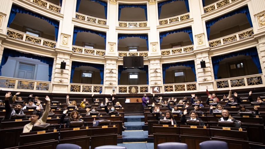Finalmente se suspenderán las PASO en la Provincia