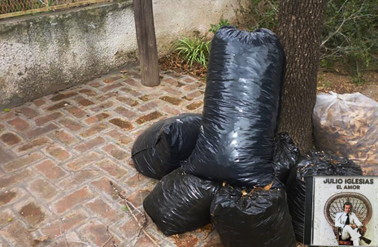 Cronograma de recolección de Voluminosos mes de julio