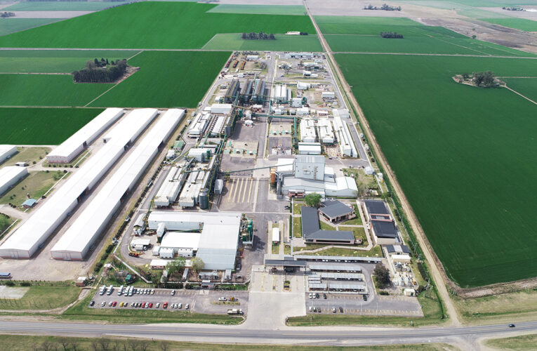 Bayer y MSU Green Energy cierran un acuerdo estratégico para abastecer con energía solar la planta procesadora de semillas maíz más grande del mundo