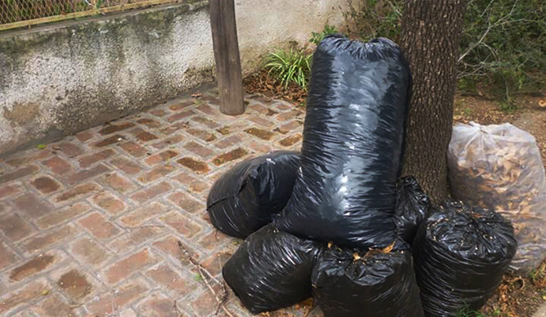 Cronograma de recolección de voluminosos (septiembre)