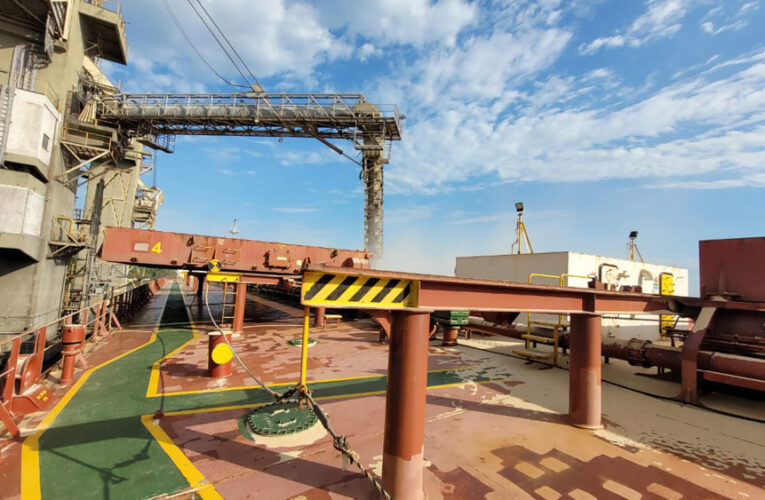 Europa exigirá soja libre de deforestación: ¿Cuánto podríamos perder y cuánto sale adaptarse?